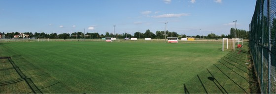 Campo "Sigonio"